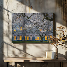 Art Prints of Morning at University of Washington