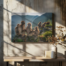 Art Prints of Geladas on the edge