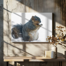 Art Prints of Squirrel