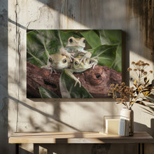 Art Prints of Three's A Crowd