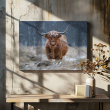 Art Prints of Snowy Highland cow