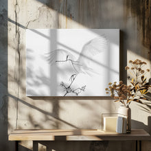 Art Prints of Transparent Wings