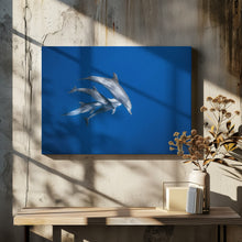 Art Prints of Bottlenose dolphin family