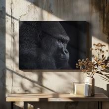 Art Prints of gorilla gaze