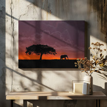 Art Prints of Elephant at sunset