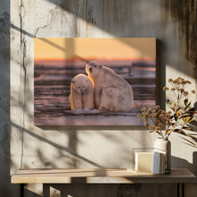 Art Prints of Polar bears at sunset