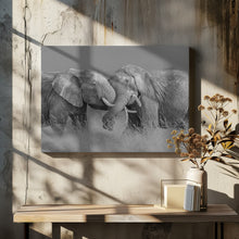 Art Prints of Elephant Flight