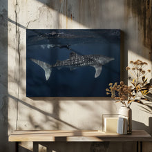 Art Prints of Whale Shark and Chaser