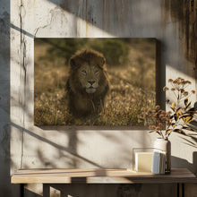 Art Prints of olope male lion