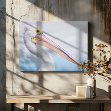 Art Prints of pelican