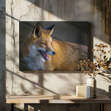 Art Prints of fox