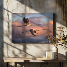 Art Prints of Flamingos at sunset