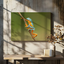 Art Prints of Fringed leaf frog