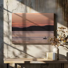 Art Prints of A peaceful wait