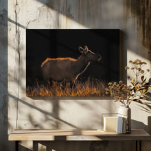 Art Prints of A Cow at Sunset