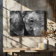 Art Prints of Elephant skin