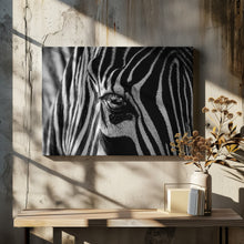 Art Prints of Abstract Zebra