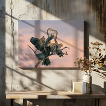 Art Prints of Oriental Darter feeding Juveniles