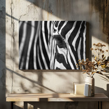 Art Prints of Zebra Maze