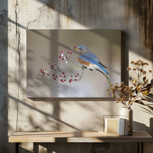 Art Prints of Blue bird in winter