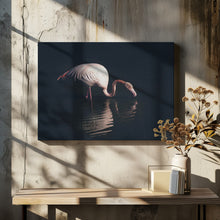 Art Prints of Enlighted flamingo