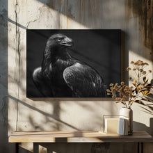 Art Prints of Golden Eagle