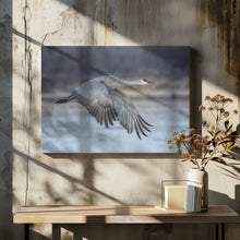 Art Prints of A Sandy Hill Crane in Flight