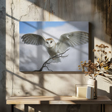 Art Prints of Snowy Owl