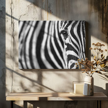 Art Prints of Zebra stripes