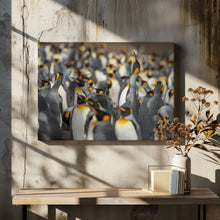 Art Prints of King penguin colony