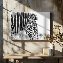 Art Prints of Fashionable black and white