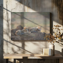 Art Prints of Cheetah cubs