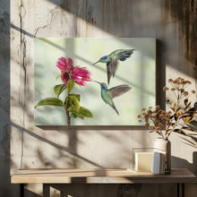 Art Prints of Costa Rica Hummingbirds