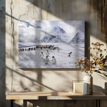 Art Prints of The Penguins Natual Habitat in Antarctica