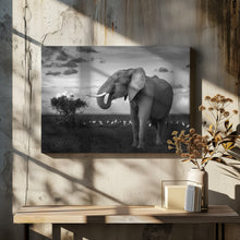 Art Prints of Beautiful Elephant