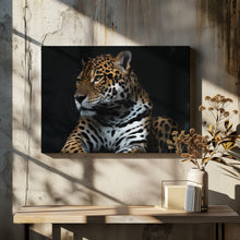 Art Prints of Captive wild