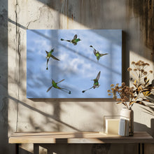 Art Prints of Joy of Flight