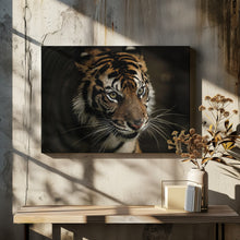 Art Prints of Tigers