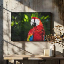 Art Prints of Colorful Parrot