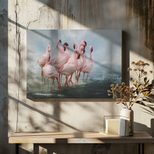 Art Prints of Lesser Flamingo Summit