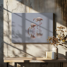 Art Prints of Flamingos