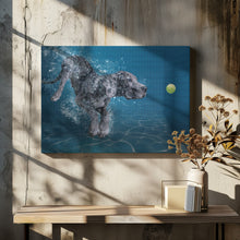 Art Prints of SplashDog