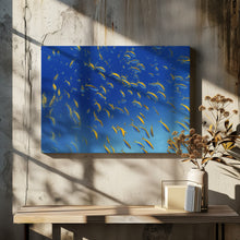 Art Prints of FiSh FrEnZy