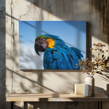 Art Prints of Osgar the Parrot.