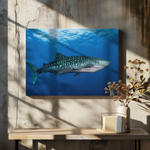 Art Prints of Whale shark