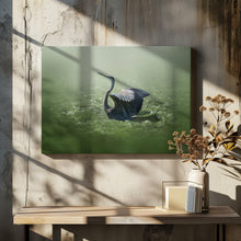 Art Prints of blue heron in a green dream