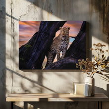 Art Prints of Leopard on the tree