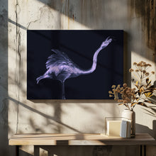 Art Prints of Silver Flamingo