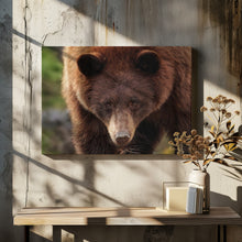 Canvas Art Print Cinnamon Bear