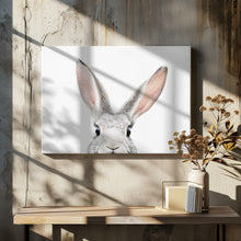 Canvas Art Print Peeking Bunny